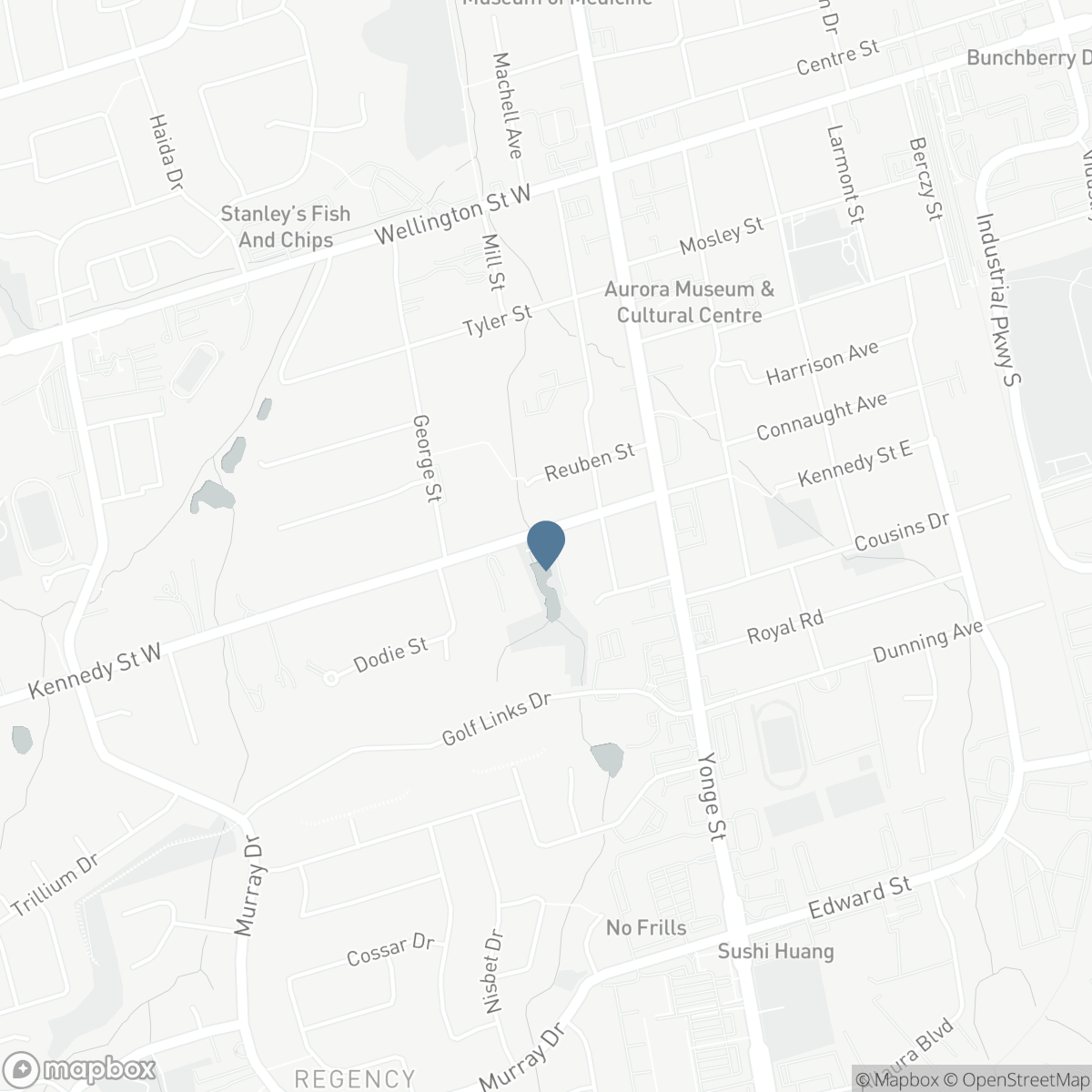 41 KENNEDY STREET W, Aurora, Ontario L4G 2L6